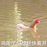 神奇番鸭