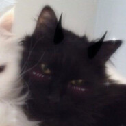 ᴋᴏᴛʏᴀᴏ