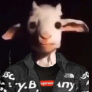 Jumpedzebra