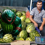 Зол упа