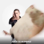 хамяк