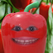 Papryk