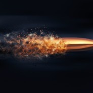 bUlLeT