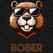 BOBER KURVA GRYZHA