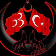 Çılgın TÜRK