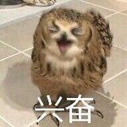 丁珍珍