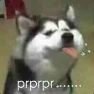 PandaEtt