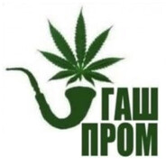 ВАТАП КИД