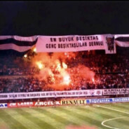 KastamonuAyısı