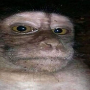 tigOrun