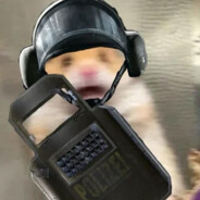 Blitz