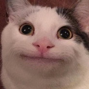El Michi