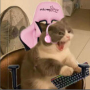 あいり
