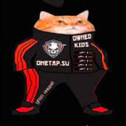 Скитую фейком