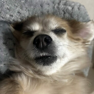 NAS | 5 yr old asian kid's avatar