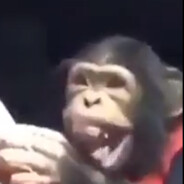 Feliz