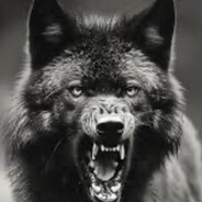 wolf