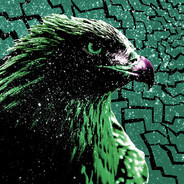 ✟ Night Eagle ✟