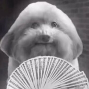 Avatar de la communauté Steam