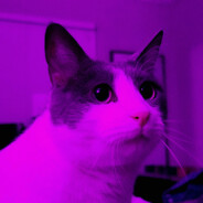 Ø