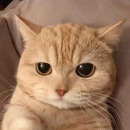 vjku