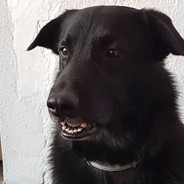piro