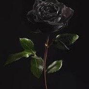 Rose.[Depressed]