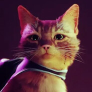 Punky Kitty
