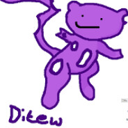 Ditew
