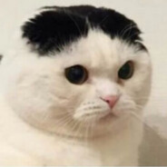 Miau Jong un♿ CSGOSKINS