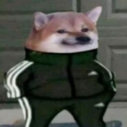 Pelej