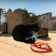 MORTEQ CSGOSKINS