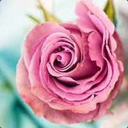 -----