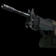 Polski negev