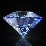 amir 007