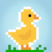 i like ducks