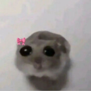 ミ★ 𝘚𝘛𝘌𝘓𝘓𝘈
