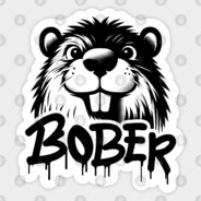 Stary_Bober