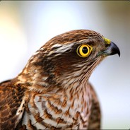 MMK_53