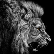 Jekson_bro