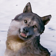 Walution