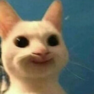 Katze