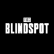 PUBG: BLINDSPOT