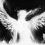 seller