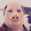 John Pork