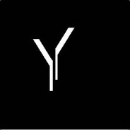 Y 4 4