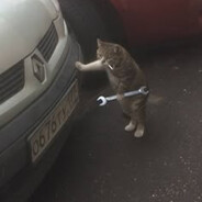 halo boss