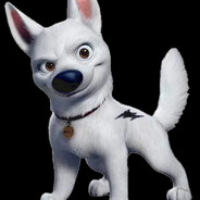 Bolt DOGDOG