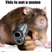 Voirdesame
