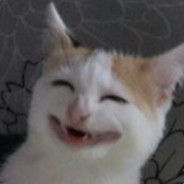 Cato